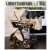 Loretto stars